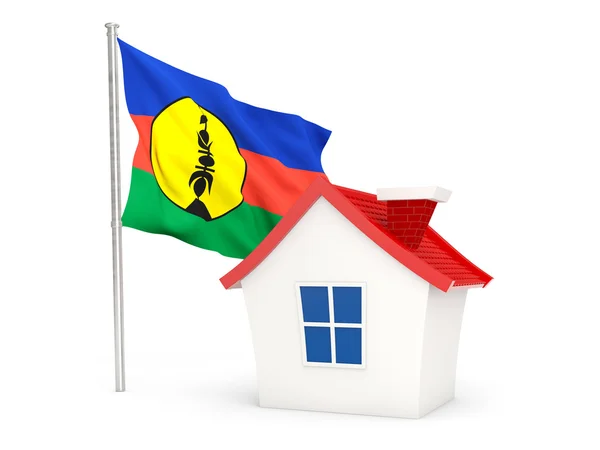 House with flag of new caledonia — 图库照片