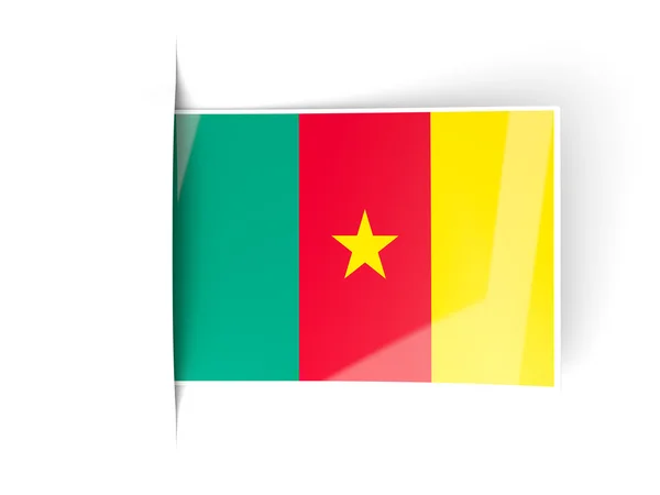 Square label with flag of cameroon — Stock Photo, Image