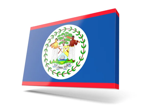 Icono cuadrado con bandera de Belice —  Fotos de Stock