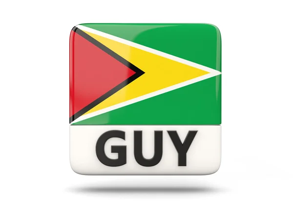 Ícone quadrado com bandeira da Guiana — Fotografia de Stock