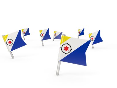 Bonaire bayrağı ile kare pimleri