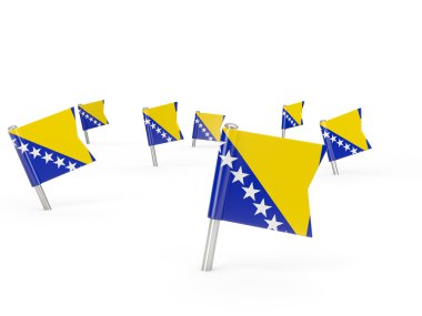Bosna-Hersek bayrağı ile kare pimleri