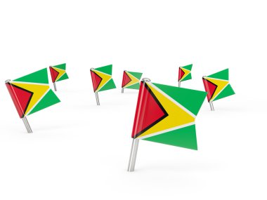 Guyana bayrağı ile kare pimleri