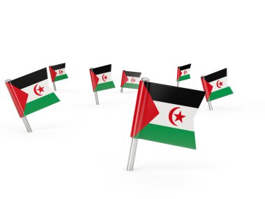 Batı Sahra bayrağı ile kare pimleri