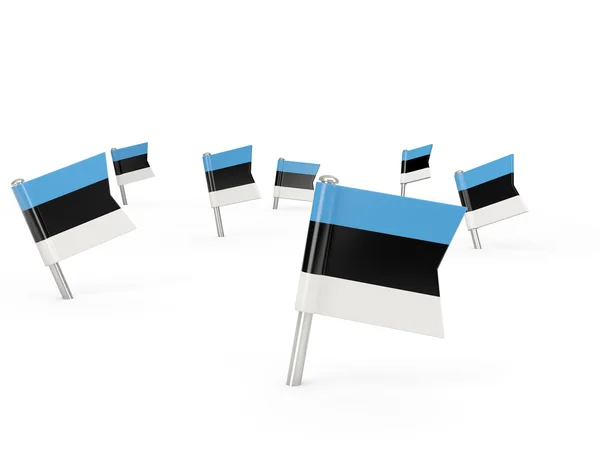 Épingles carrées avec drapeau de l'Estonie — Photo