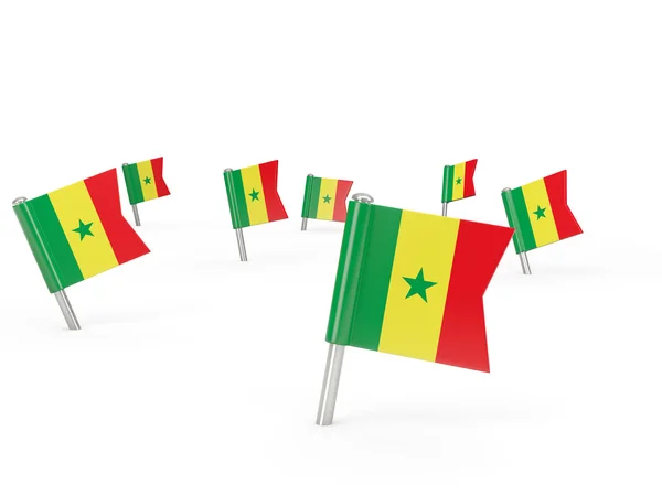 Épingles carrées avec drapeau de senegal — Photo