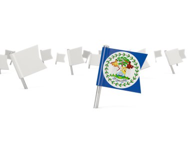 Kare iğne ile belize bayrağı