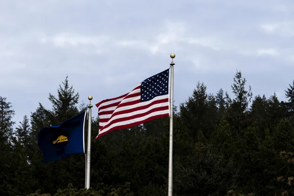 私たちと木に対してオレゴン州旗の裏に — ストック写真