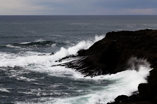 Ondas batendo Lava Rock Shore Depoe Bay Oregon — Fotografia de Stock