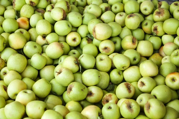 Bin of Green Apples After Fall Harvest — Stock Photo, Image