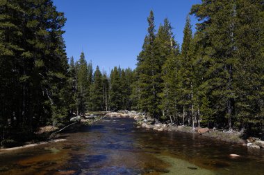 Mavi gökyüzü dağ nehir arasında yeşil ağaçlar