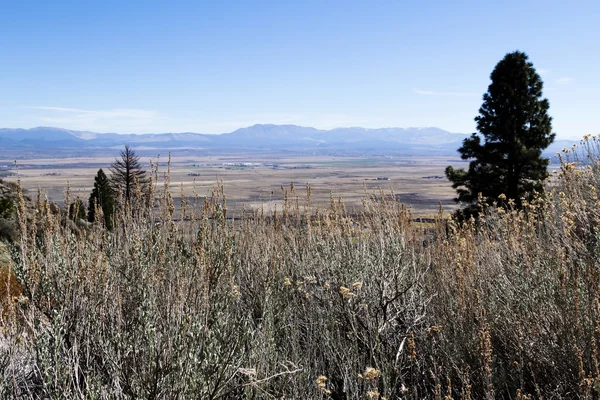 View Of Carson Valley Nevada Nea Genoa — Stock Photo, Image