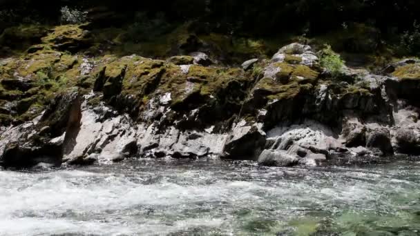 North Fork American River Flowing Across Frame Near Colfax California — Stock Video