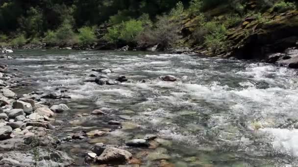 North Fork American River Flowing Towards Camera Colfax California — Stock Video