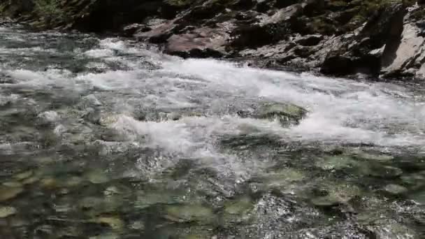 American River Rapids North Fork en rivier Bank — Stockvideo