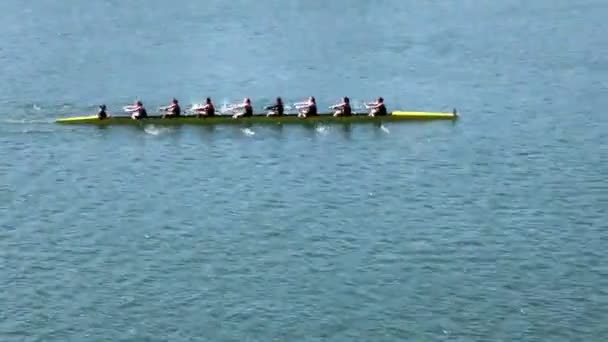 Womens bemanning Team Roeien op Lake laten draaien Shot — Stockvideo