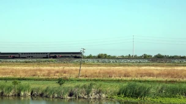 Amtrack двигуном поїзд та чотири автомобілі, що рухається в зворотному напрямку — стокове відео