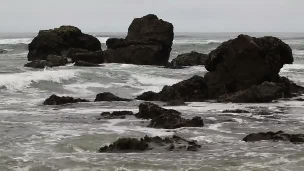 Onde oceaniche della California settentrionale che colpiscono grandi rocce — Video Stock