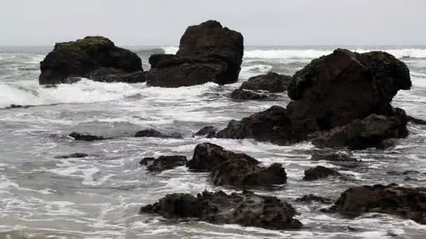 Vagues de l'océan de Californie du Nord frappant de grandes roches — Video