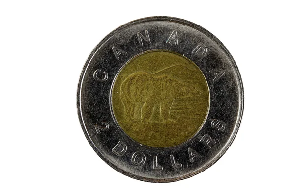 Kanadská strana kovové mince medvěd dva dolar — Stock fotografie