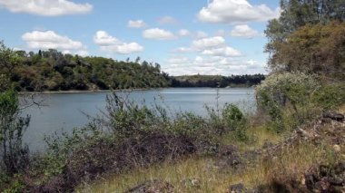 Lake Natomas California ile ön plan bitkilerde