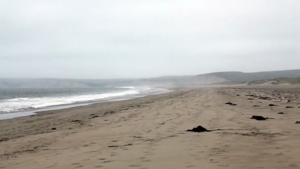 Havets vågor på Empty Beach mulen dag — Stockvideo