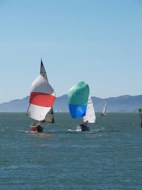 Berkeley, California, ABD - 07 Ekim 2007: Yelkenliler San Francisco Körfezinde Spinnaker Yelkenlileri Altında Koşan
