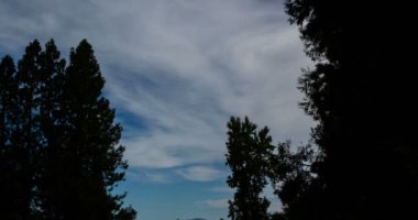 Zaman atlamalı Cirrus bulutlar ağaçlar 4k arasında