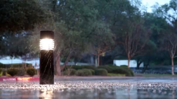 Regen naar beneden met verlichte pijler en bomen — Stockvideo