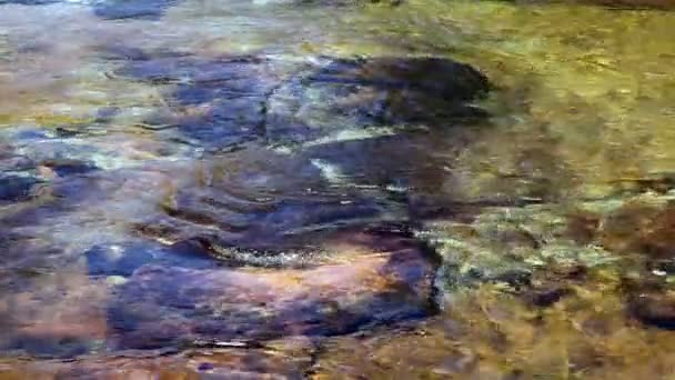 Ondiepe rivier stroomt Over rotsen Yosemite Californië — Stockvideo