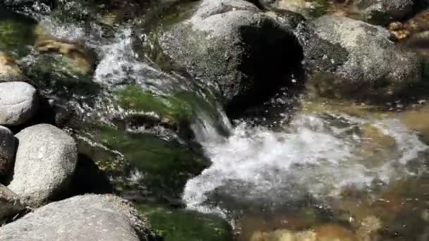 Wasser stürzt über Felsen an Land — Stockvideo