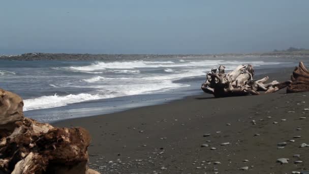 Ondas na praia com grandes troncos de madeira à deriva — Vídeo de Stock