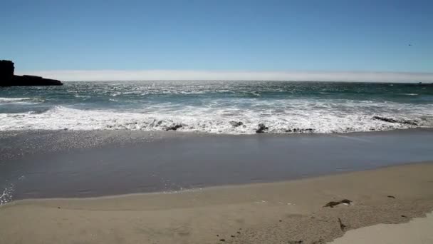 Ondas lavándose en la playa húmeda de arena — Vídeos de Stock