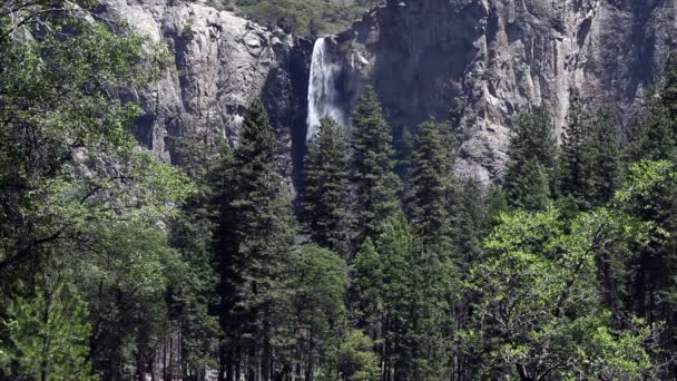 Velo nupcial cae Parque Nacional Yosemite California — Vídeos de Stock