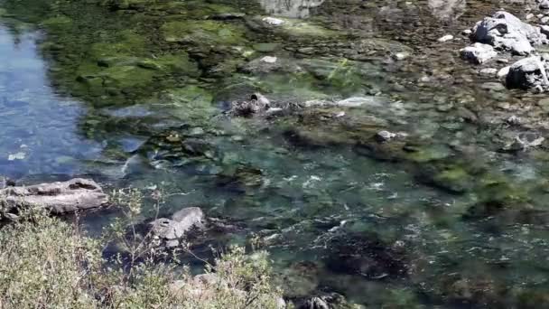 Kleine rivier stroomt Over rotsen van bovenaf — Stockvideo