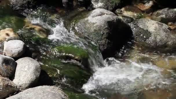 Stretto colpo flusso cascata giù sopra muscoloso rocce — Video Stock