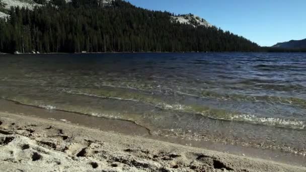 Μικρά κύματα σε αμμώδης παραλία λίμνη Yosemite Καλιφόρνια — Αρχείο Βίντεο