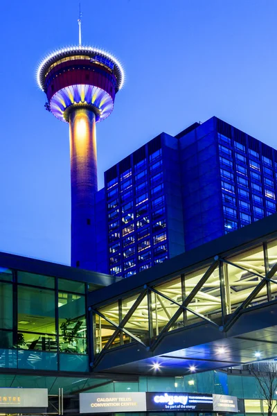 Calgary Night Canada — Stockfoto