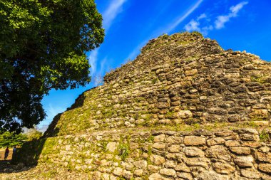 Meksika'da Antik Maya piramidi