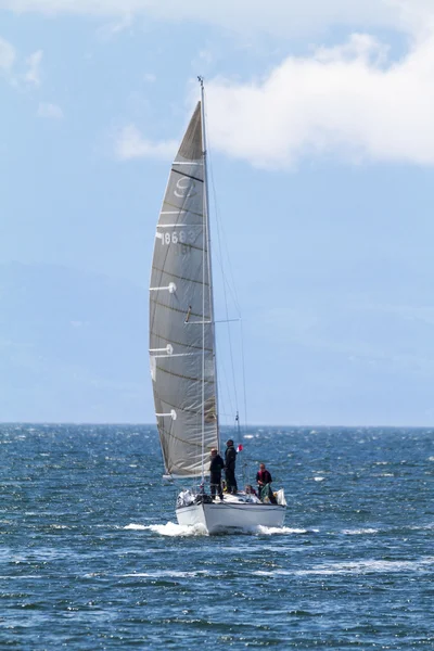 Zeilen in de drukke Victoria Harbor — Stockfoto