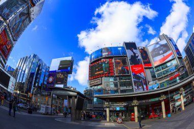 Yoğun şehir Toronto