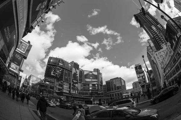 Downtown toronto i svart och vitt — Stockfoto