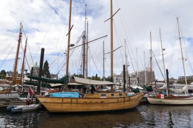 Klasik tekne festivalinde