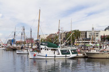 Victoria Festivali'nde güzel klasik tekneler