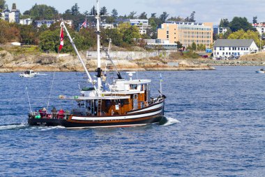 Victoria Festivali'nde klasik tekneler