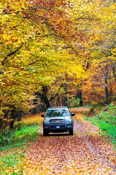 Hungria Brzsny Mountain Range Nov 2020 Toyota 4Runner 4X4 Suv — Fotografia de Stock