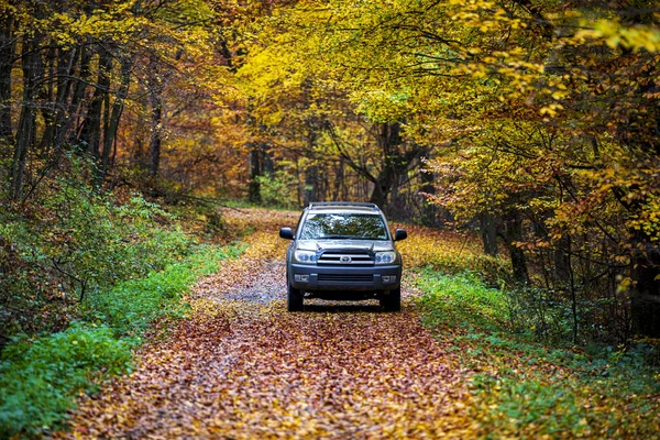 Hungria Brzsny Mountain Range Nov 2020 Toyota 4Runner 4X4 Suv — Fotografia de Stock