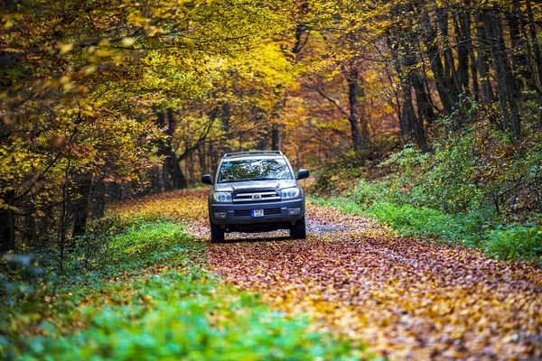 Hungría Cordillera Borzsony Nov 2020 Toyota 4Runner 4X4 Suv Forestry — Foto de Stock