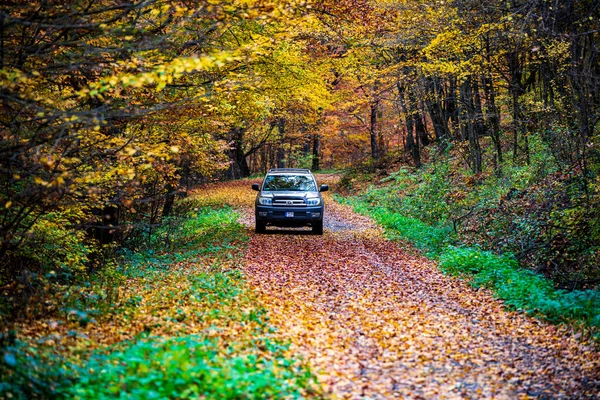 Maďarsko Brzsny Horské Pohoří Listopad 2020 Toyota 4Runner 4X4 Suv — Stock fotografie