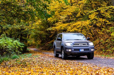Macaristan Borzsony sıradağları 1 Kasım 2020: Toyota 4x4 SUV Ormancılık yolunda sonbaharda dağlarda. Dağ yolu manzarası. Macera seyahati. Brzsny dağları, vadiler ve dağ geçidi.